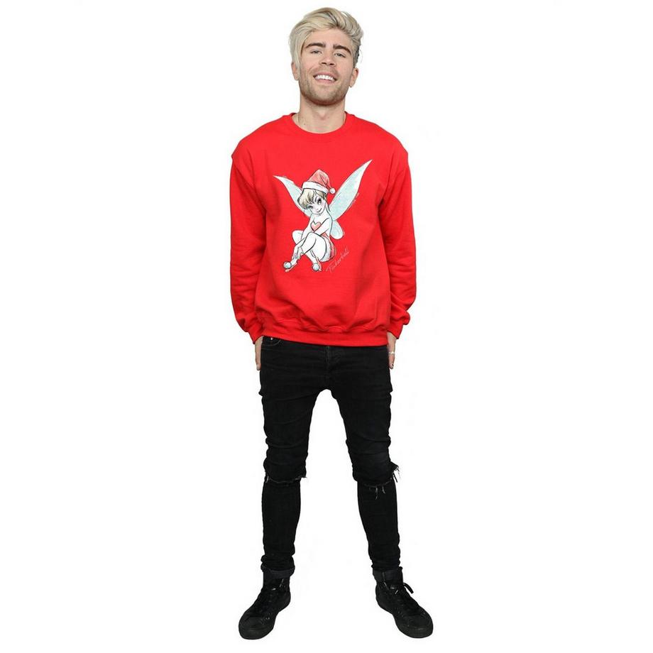 Disney Fairy Sweatshirt  