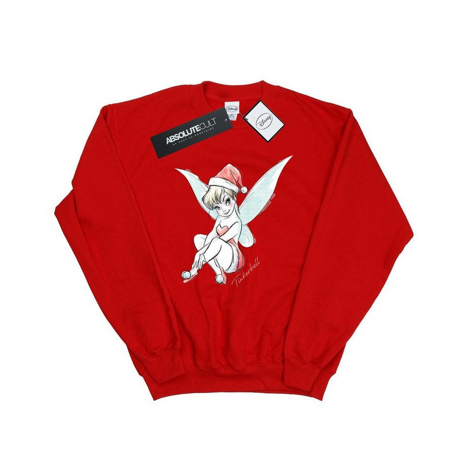 Disney Fairy Sweatshirt  