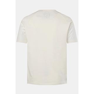 JP1880  T-shirt con mezze maniche raglan, stampa sul petto e scollo a girocollo, fino alla tg. 8XL 