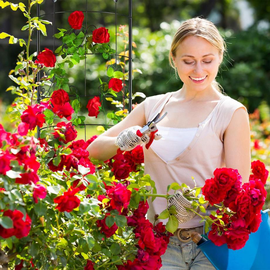 Northio Supporto per arrampicata in metallo stile retrò  