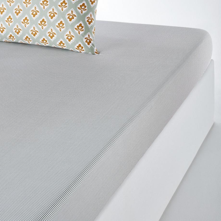 La Redoute Intérieurs Drap-housse Cilou  