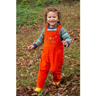 frugi  Kleinkinder Pullover Fowey 