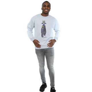 Disney  Sleeping Beauty Sweatshirt 