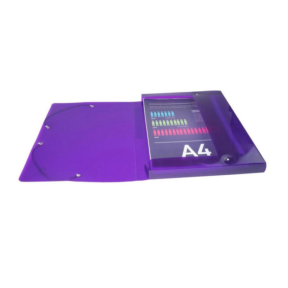 Exacompta Boite de classement en polypropylène Dos 40mm Iderama PP - A4 - x 4  