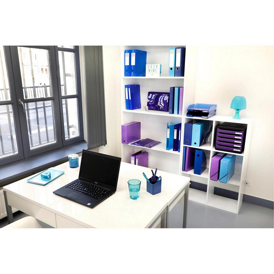 Exacompta Boite de classement en polypropylène Dos 40mm Iderama PP - A4 - x 4  