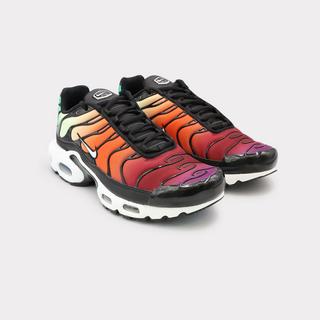 NIKE  Air Max Plus - Rainbow 