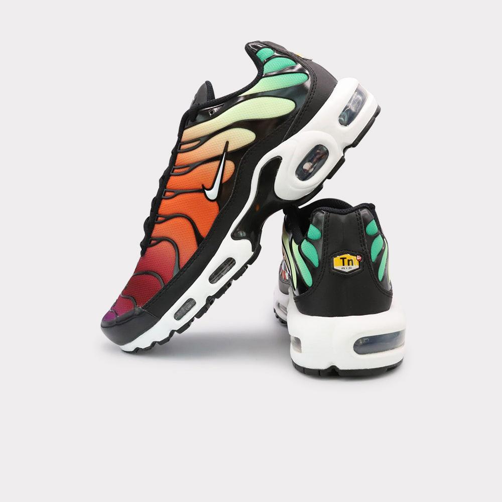 NIKE  Air Max Plus - Rainbow 