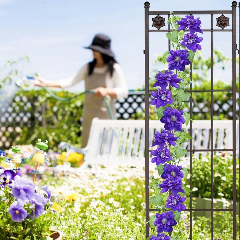 B2X Rankhilfe Metall 2er Set  