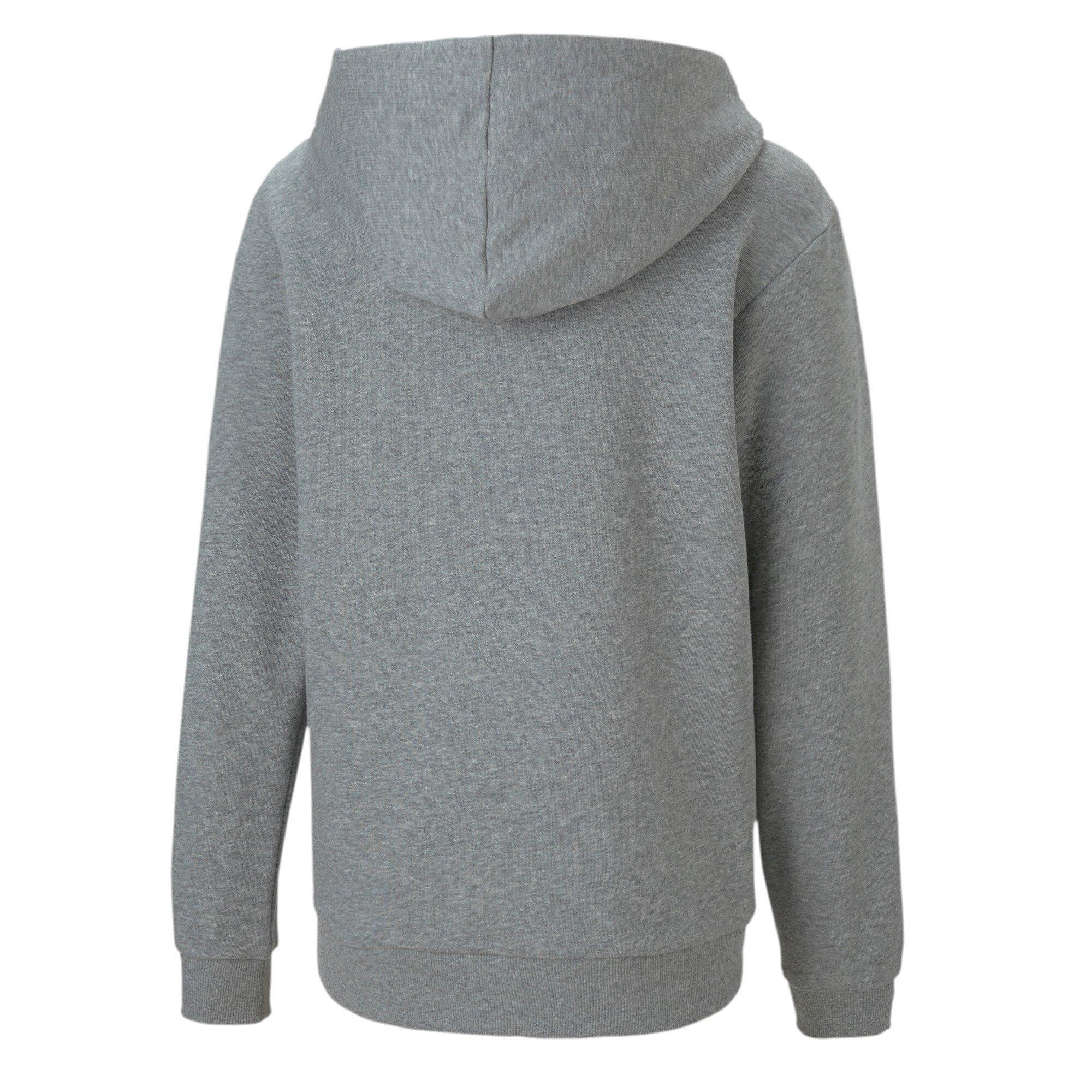 PUMA  Sweatshirt à capuche enfant  Team Goal 23 Casuals 