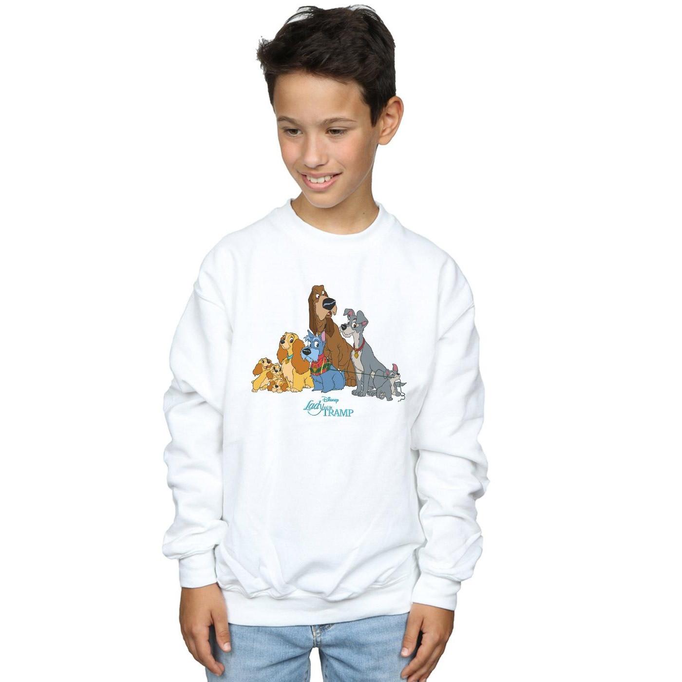 Disney  Lady And The Tramp Sweatshirt 