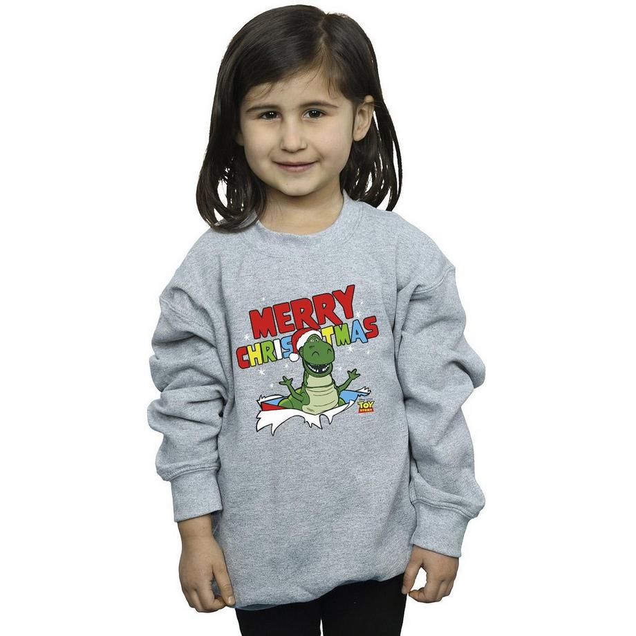 Disney  Toy Story Sweatshirt 