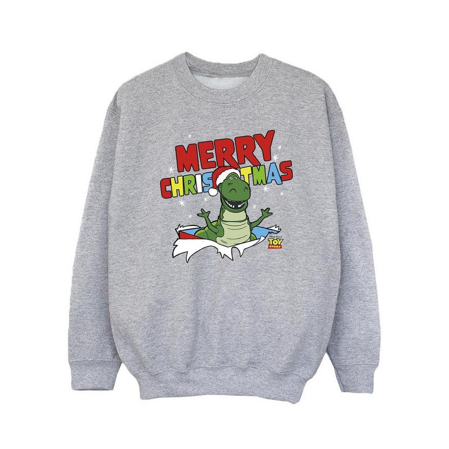 Disney  Toy Story Sweatshirt 