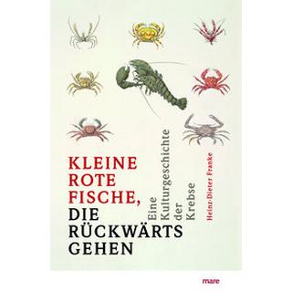 »Kleinee Fische, die rückwärtsgehen« Franke, Heinz-Dieter Copertina rigida 