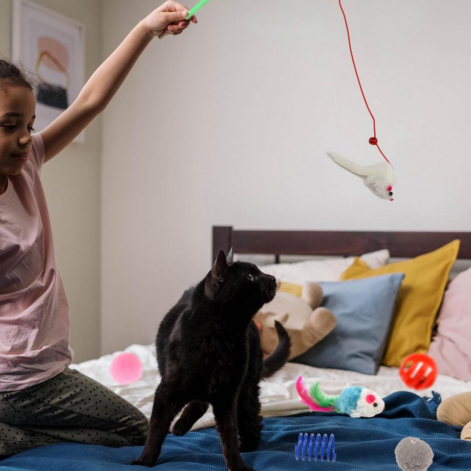 Activity-board  Packung mit 31 Katzenspielzeug mit Katzentunnel 