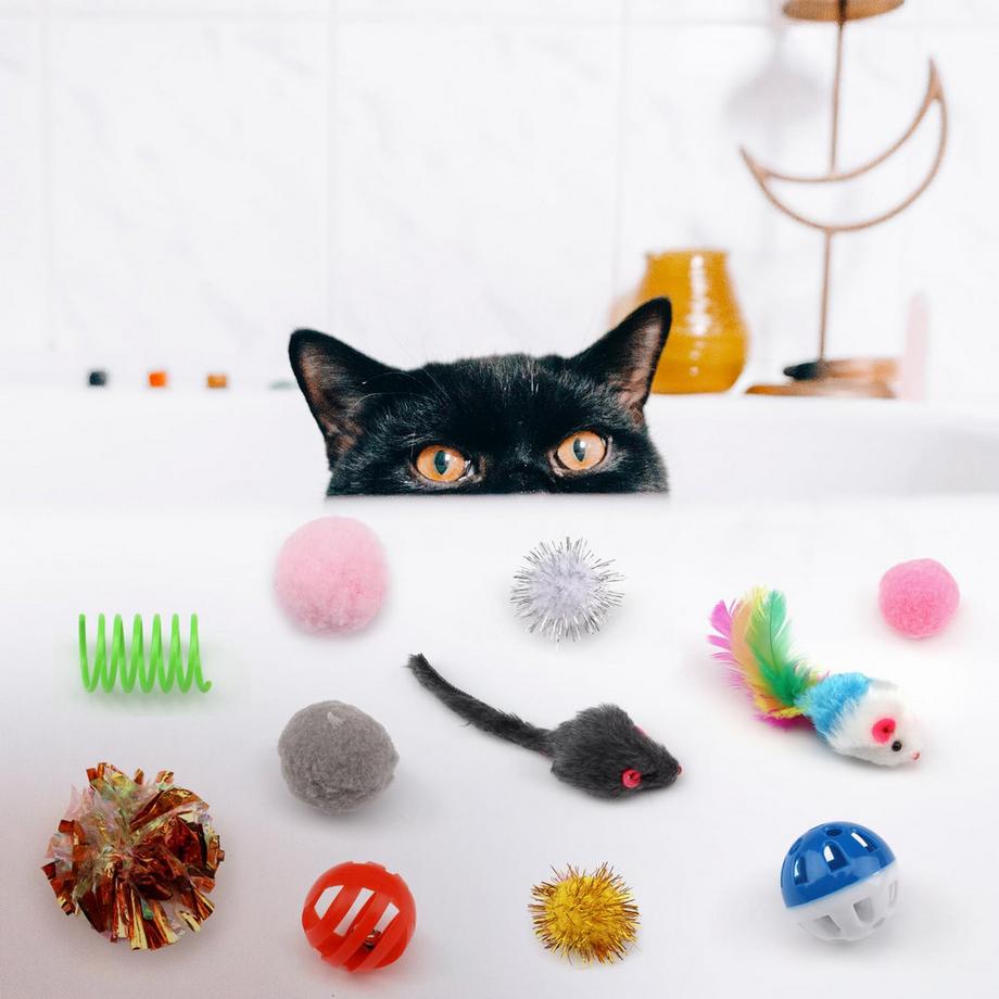 Activity-board  Packung mit 31 Katzenspielzeug mit Katzentunnel 