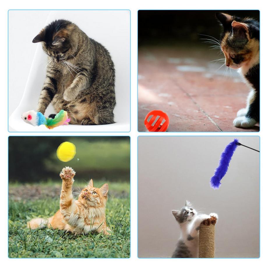 Activity-board  Packung mit 31 Katzenspielzeug mit Katzentunnel 