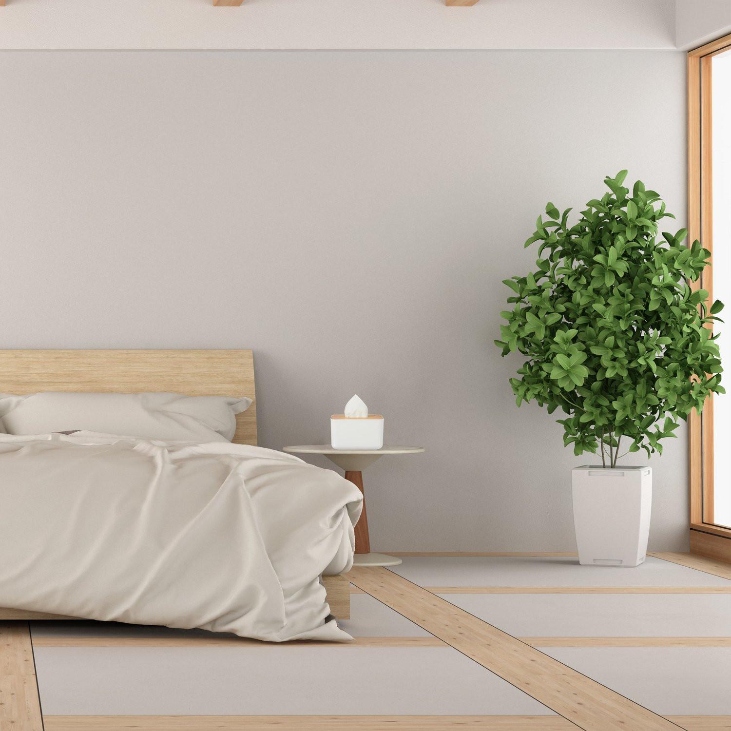 B2X Scatola in tessuto con coperchio  