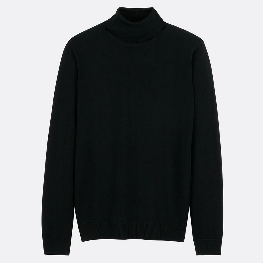 La Redoute Collections Pull Col Roulé Mérinos  