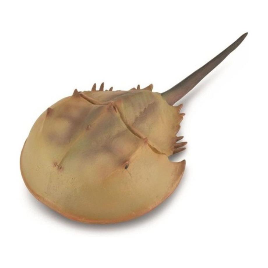 CollectA  Oceans & Ice Pfeilschwanzkrebs 