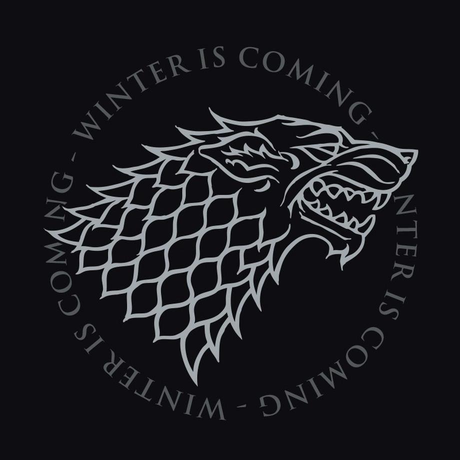 Abystyle Game of Thrones Casa Stark Giacca Bomber  