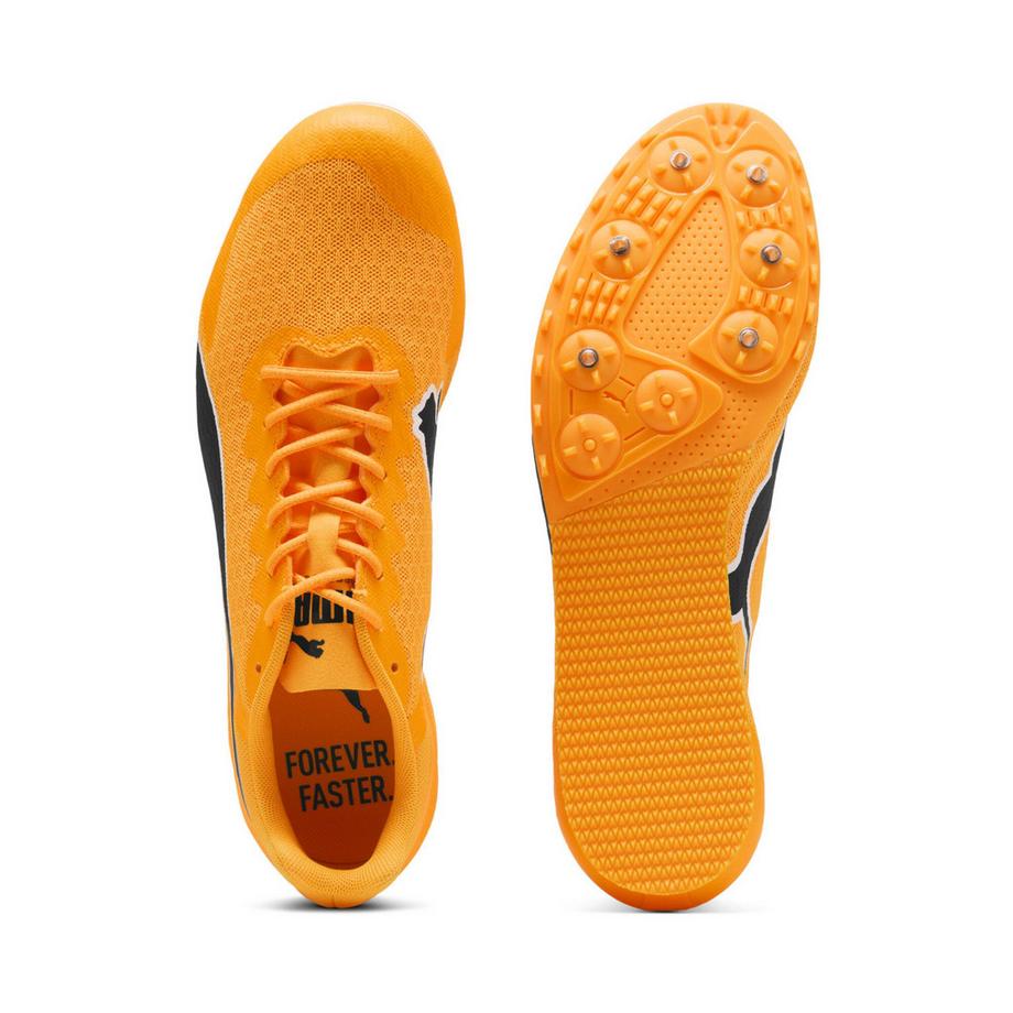PUMA Scarpe chiodate atletica evospeed star 9  