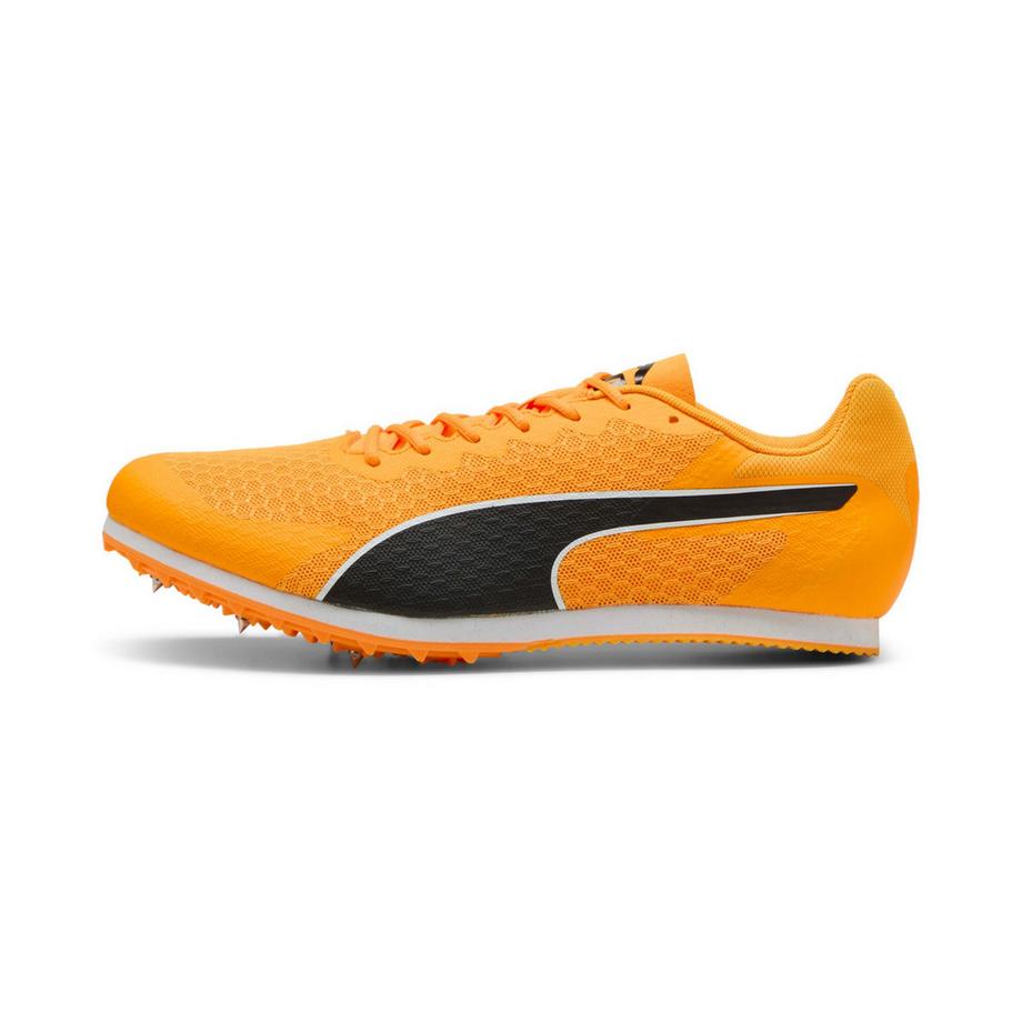 Scarpe chiodate atletica evospeed star 9