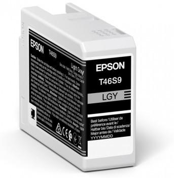 EPSON  UltraChrome Pro cartuccia d'inchiostro 1 pz Originale Grigio chiaro 