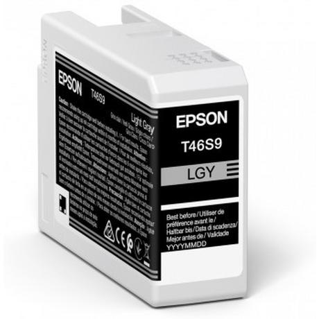 EPSON  UltraChrome Pro cartuccia d'inchiostro 1 pz Originale Grigio chiaro 