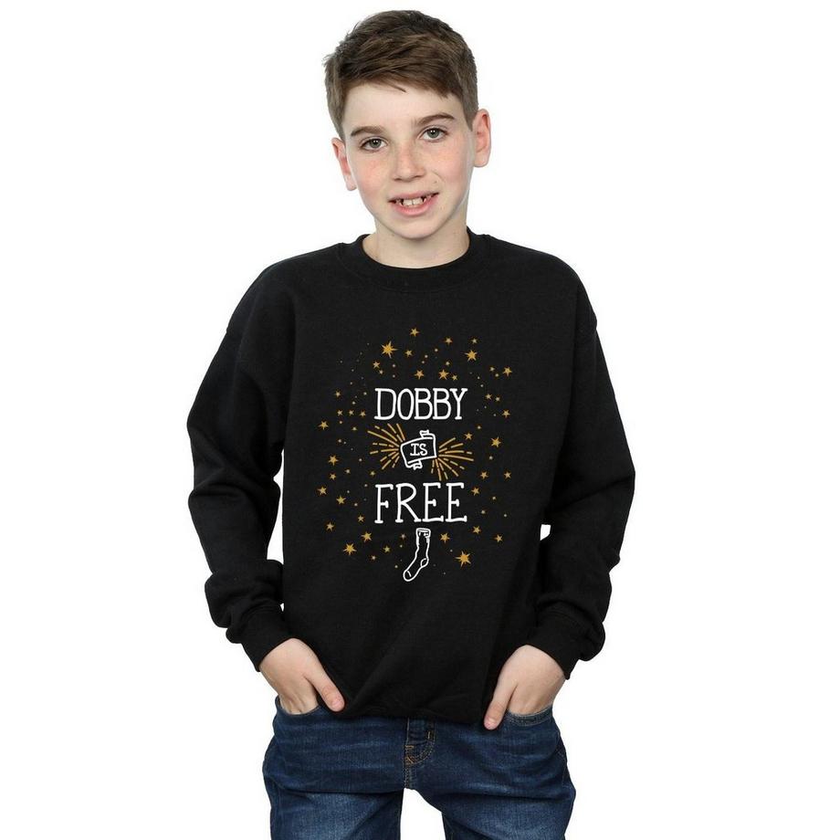 HARRY-POTTER  Sweat DOBBY IS FREE 
