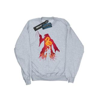 Harry Potter  Sweatshirt 