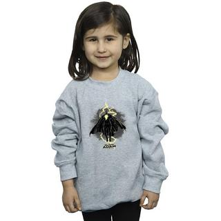 DC COMICS  Sweatshirt 