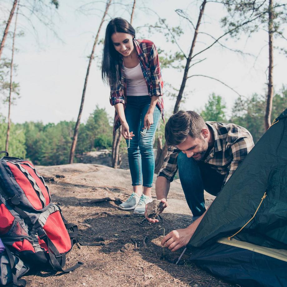 B2X  Set mit 25 Zeltheringen 