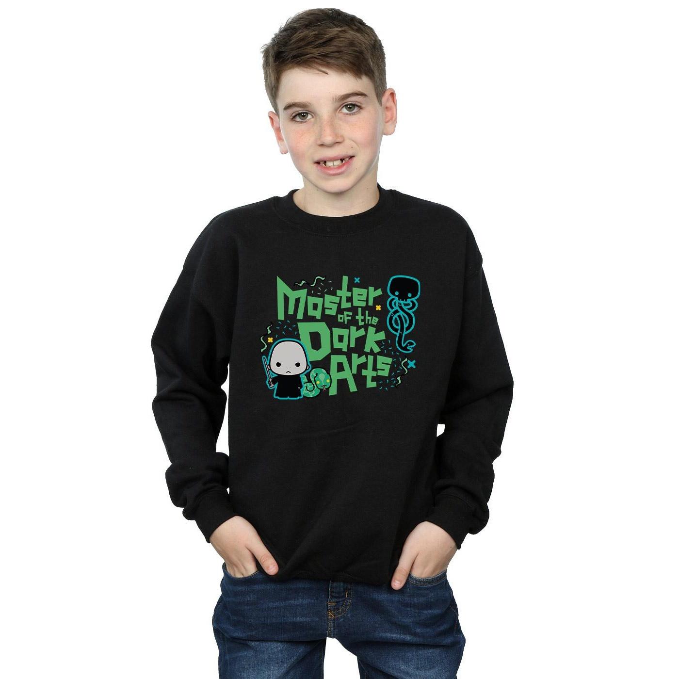 Harry Potter  Voldemort Dark Arts Junior Sweatshirt 