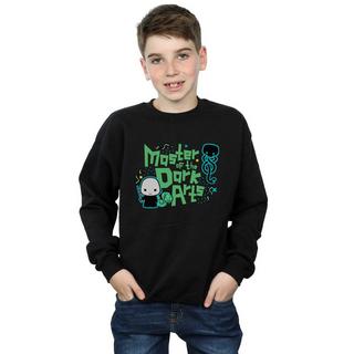Harry Potter  Voldemort Dark Arts Junior Sweatshirt 
