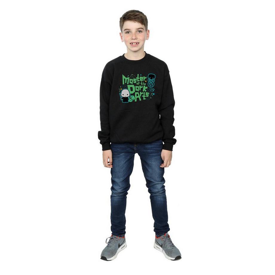 HARRY-POTTER  Voldemort Dark Arts Junior Sweatshirt 