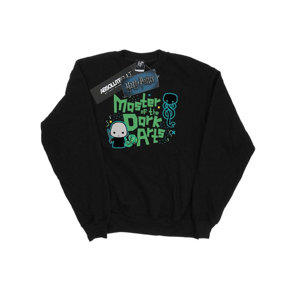 Voldemort Dark Arts Junior Sweatshirt