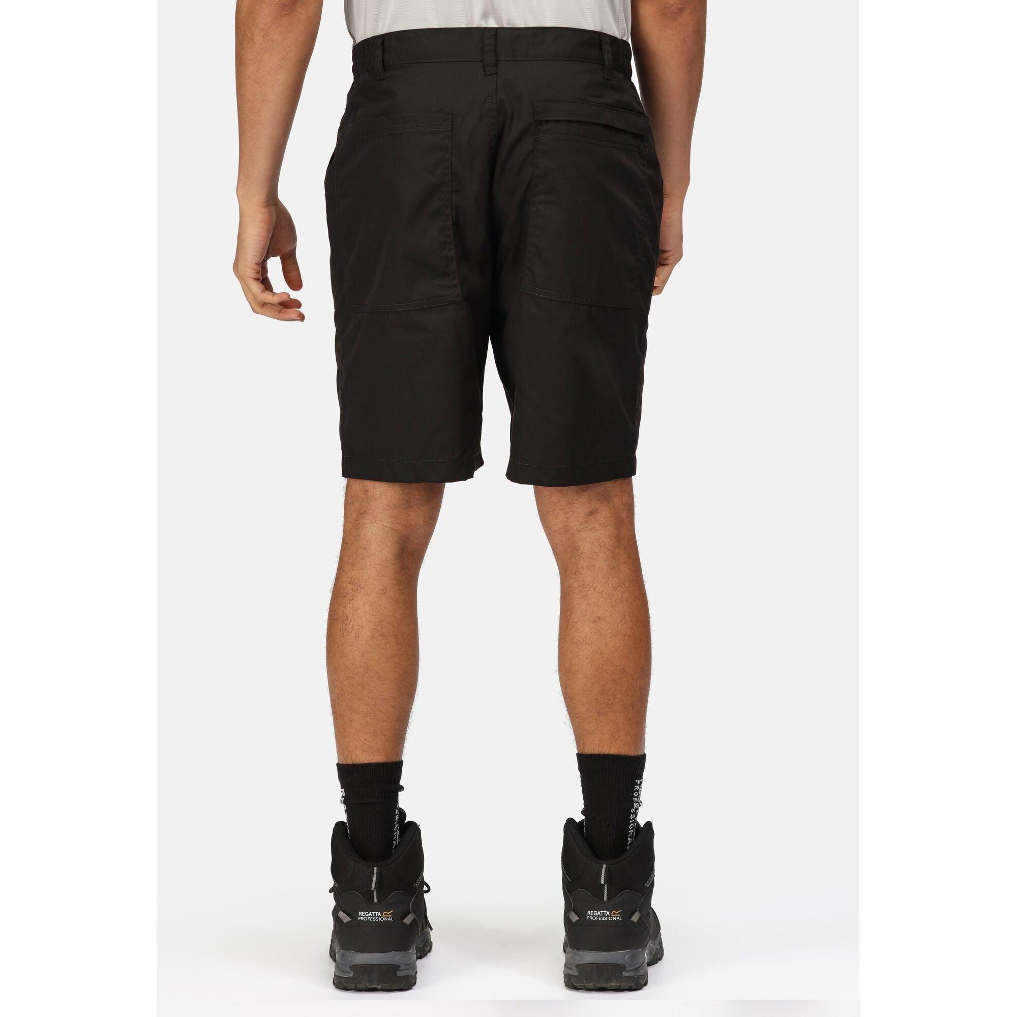 Regatta  Short 