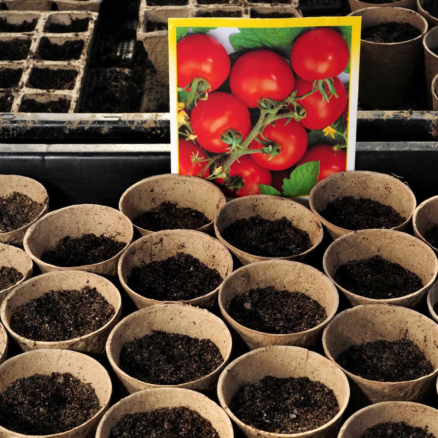 B2X Biopots, paquet de 80  