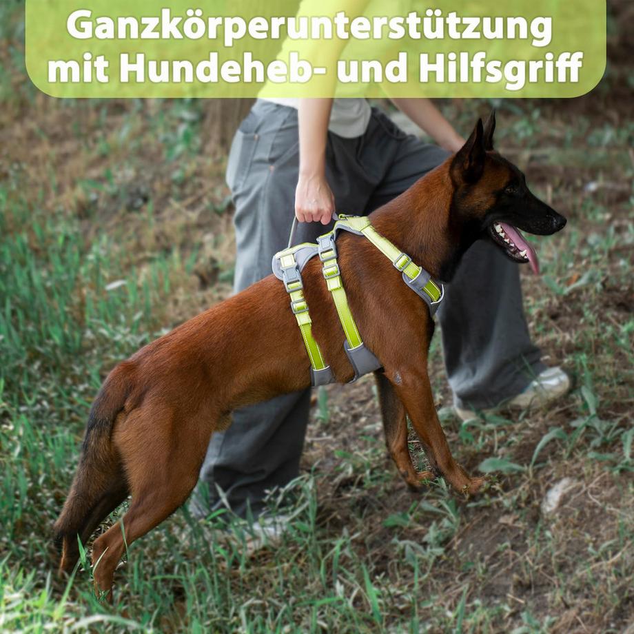 Alopini  Harnais Réfléchissant pour Chien avec Poignée 