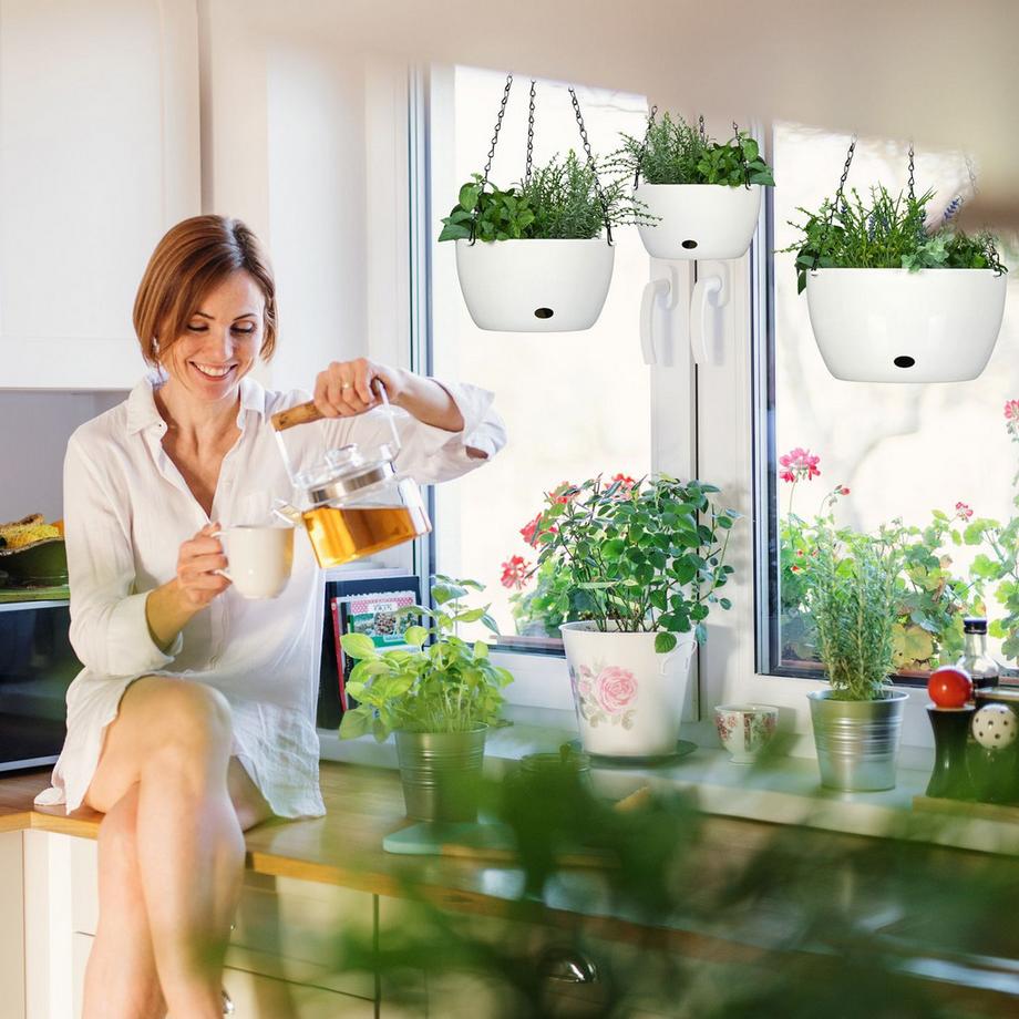 B2X Hängeampeln mit Wasserbehältern 3er Set  