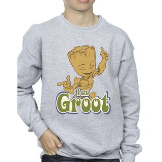 Guardians Of The Galaxy  Sweatshirt 