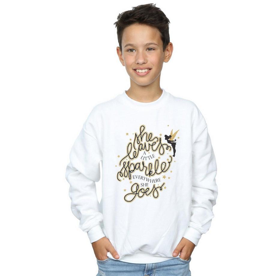 Disney  Sweatshirt 