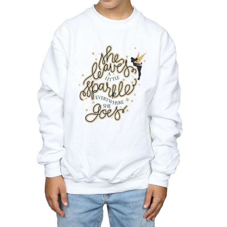 Disney  Sweatshirt 