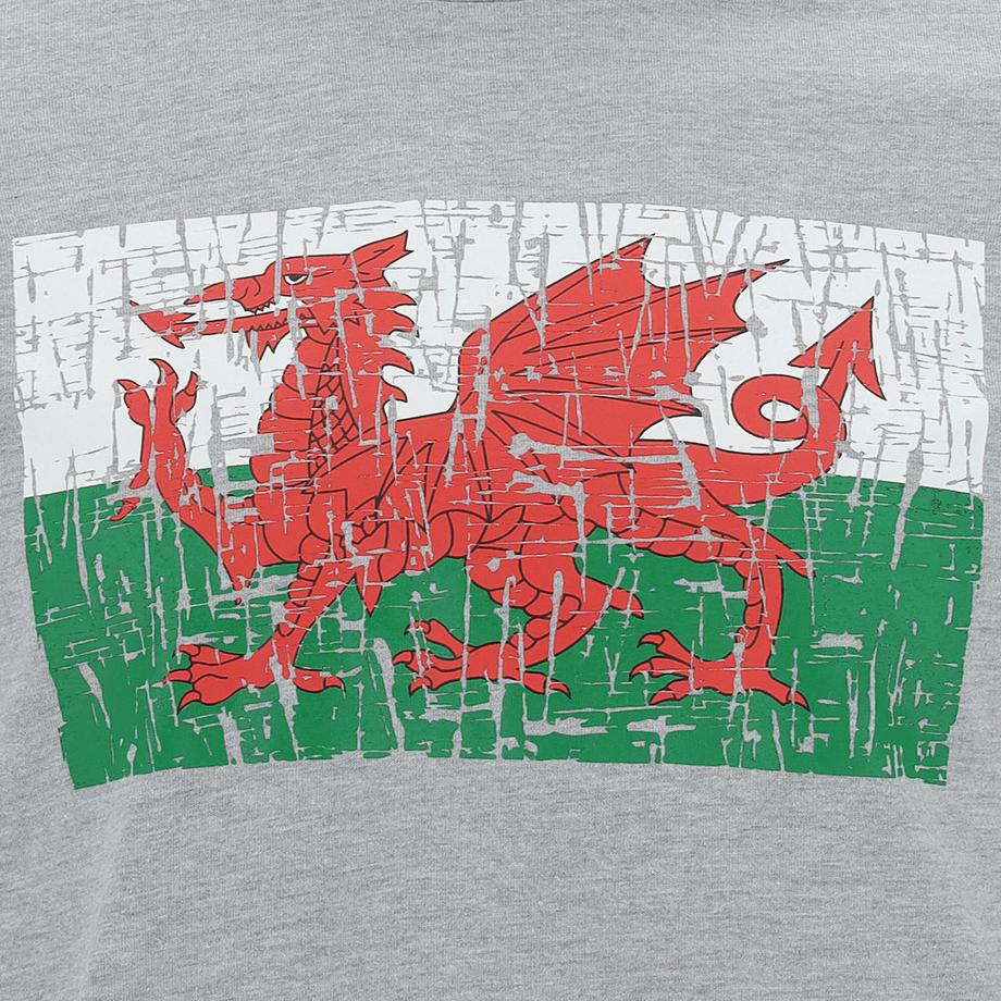 macron Wales Rugby XV 202021 Baumwoll T-Shirt  