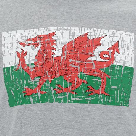 macron  T-shirt Cotone Pays de Galles Rugby XV 2020/21 