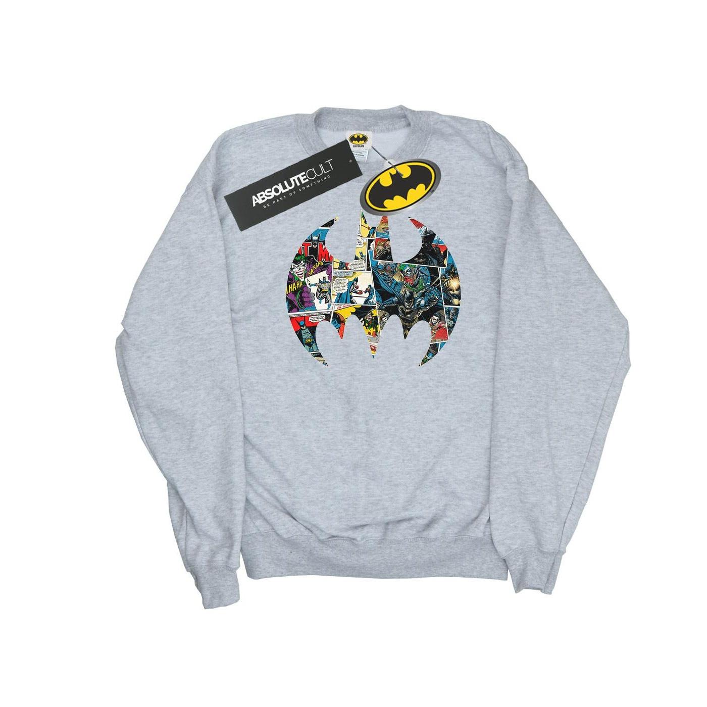 DC COMICS  Sweatshirt 