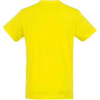 SOLS Regent Kurzarm T-Shirt  