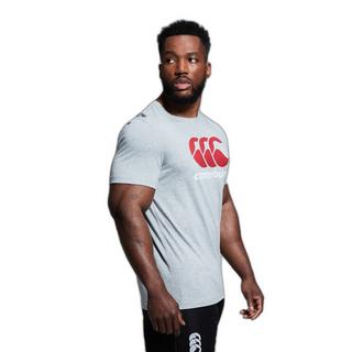 Canterbury CCC Logo T-Shirt Slim Fit  