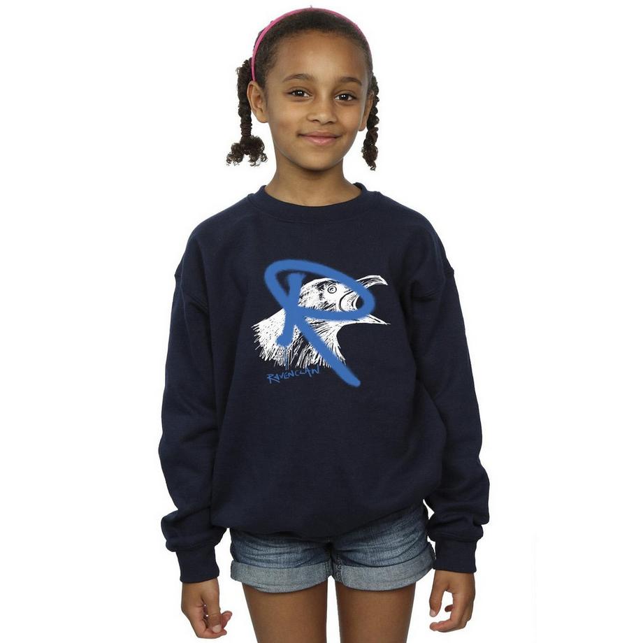 Harry Potter  Ravenclaw Sweatshirt 