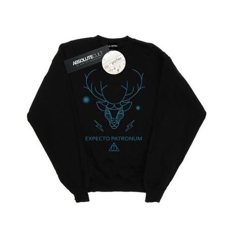 Harry Potter  Expecto Patronum Sweatshirt 